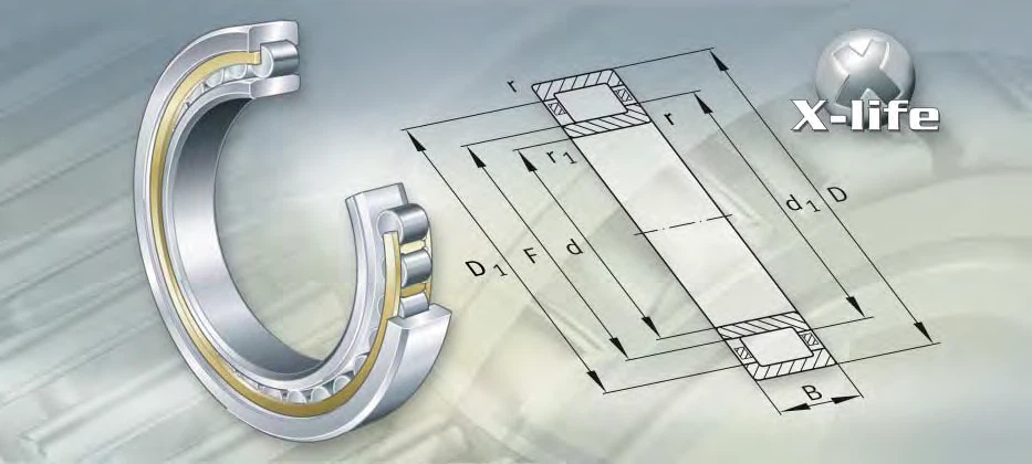 Available NU29/1180-M1 Single-Row Cylindrical Roller Bearings factory